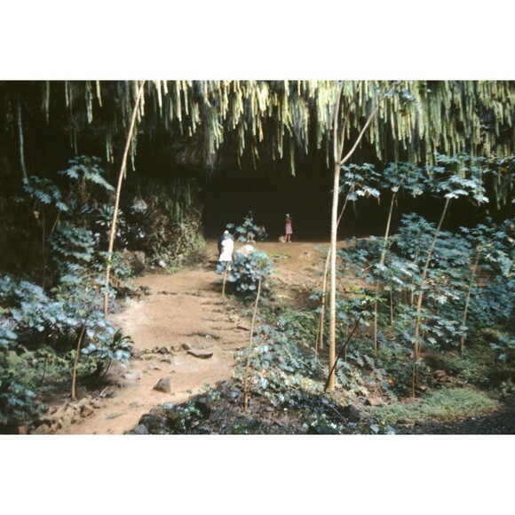 Other - 1960s Kodak 35mm Slide Hawaii Travels, Fern Grotto #3, Kauai, Hawaii (5)